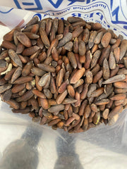Premium Chilgozay (Pine Nuts) - Rich in Healthy Fats & Protein